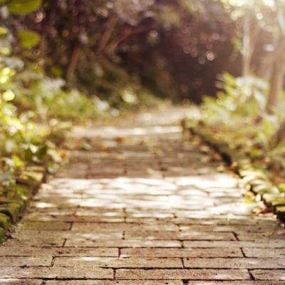 我在古代当公主4399版下载